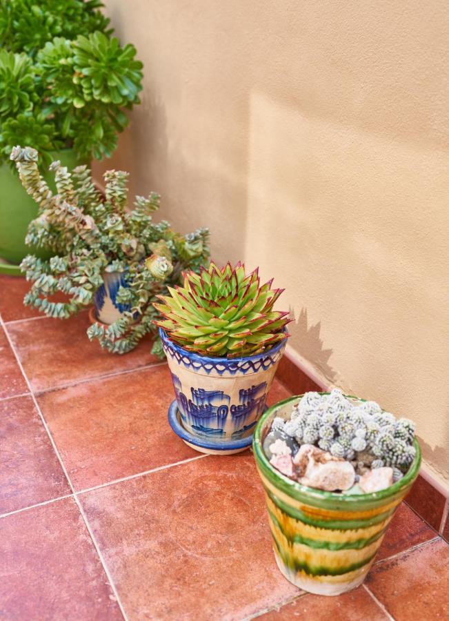 El Agave El Pozo de los Frailes Eksteriør bilde